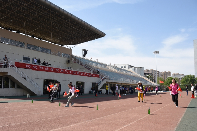 _DSC6313插旗缩小.jpg